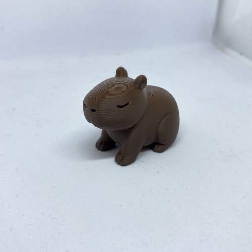 Capybara